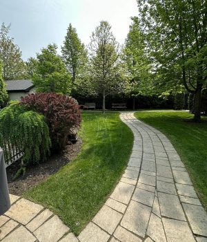 473778114_533222073097168_5129577484462757140_n