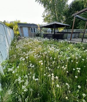 474949621_537005892718786_1412528214378635546_n