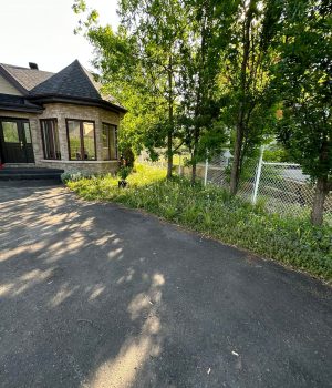 474975895_537005856052123_1030323193503960773_n