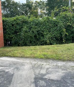 475397002_539759379110104_4032226544101999918_n