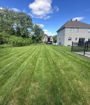 480359171_556166714136037_1272758320015152780_n