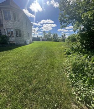 480697845_556166797469362_605970911450630583_n