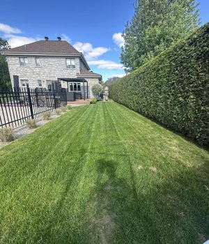 480697905_556166790802696_6215549714252603367_n