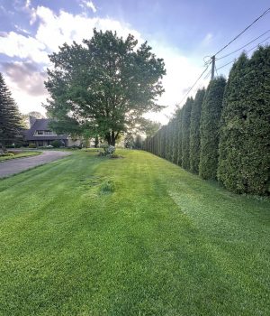 498587371_621843114235063_6037173373385308340_n