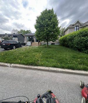 499510021_625552170530824_990101679065069552_n