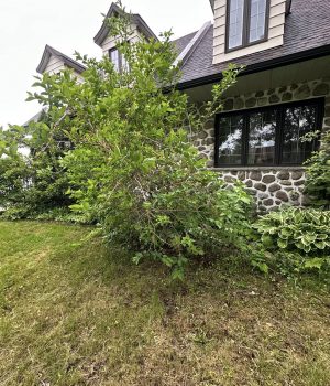 512077166_651851377900903_816120957496243636_n