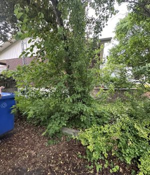 512160551_651851574567550_1614116910768039487_n