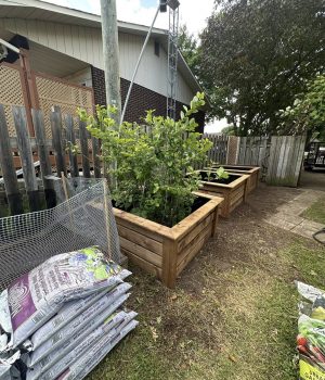 512173284_651851497900891_84731676917493499_n