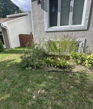 557517697_733551209730919_1791132805875032007_n