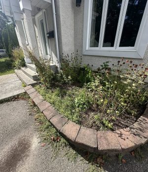 557636916_733551203064253_8335378336949698230_n