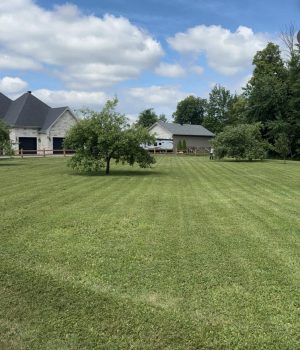 600234070_796165646802808_236192092112390907_n